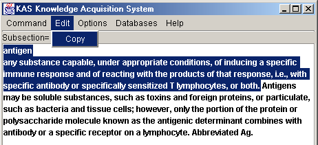 THE INDUCTEL SCIENTIFIC & TECHNICAL DICTIONARIES' COPY AND PASTE FEATURE